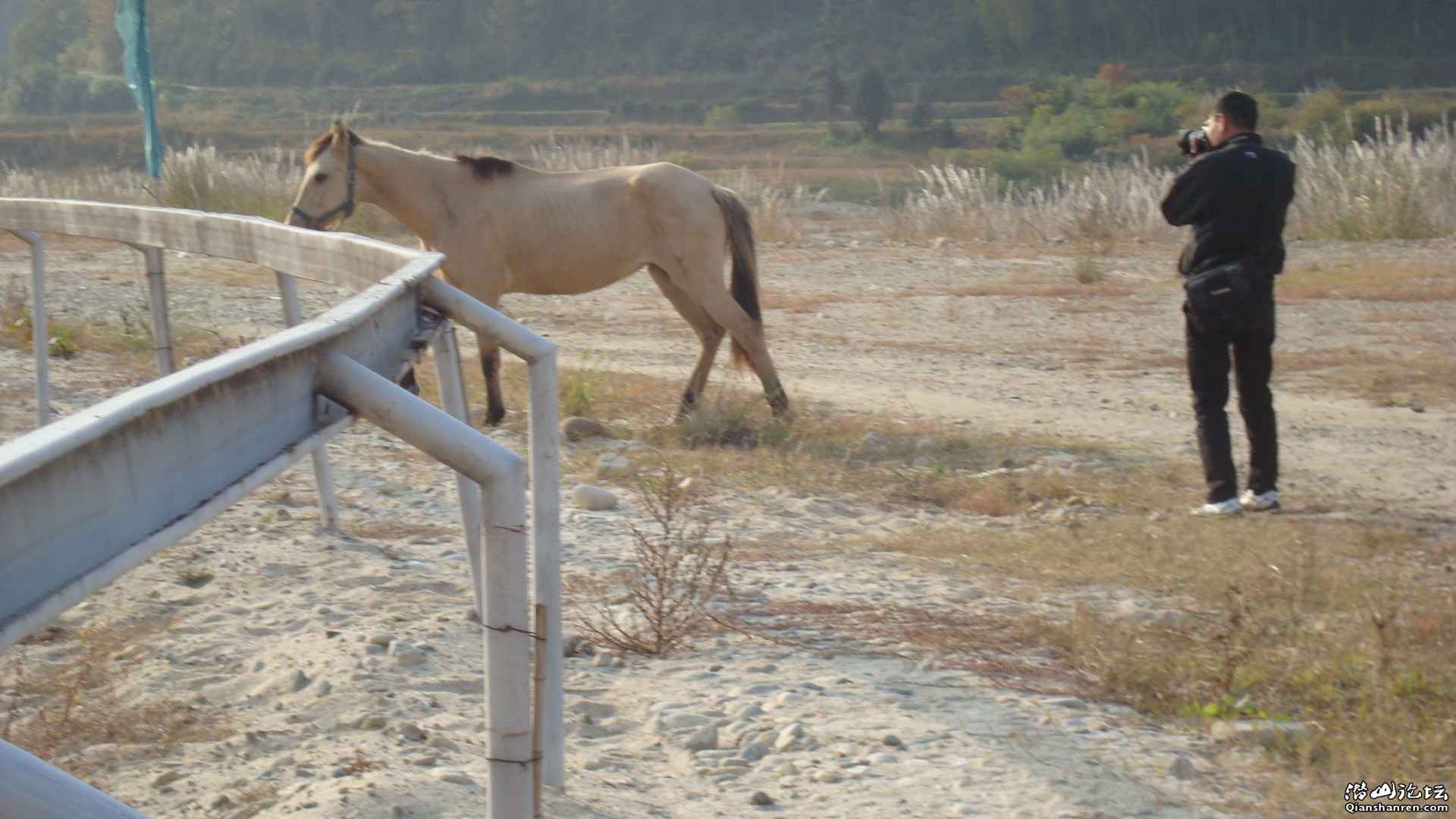 ץİ