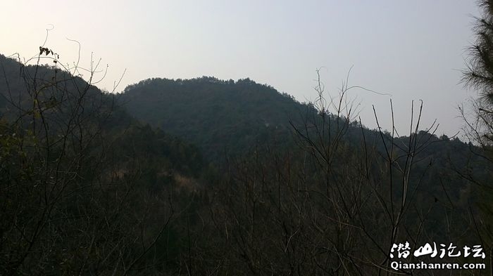 20110307010.jpg