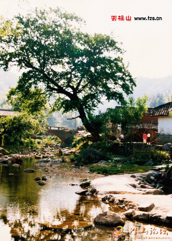 xiaoqiao.jpg