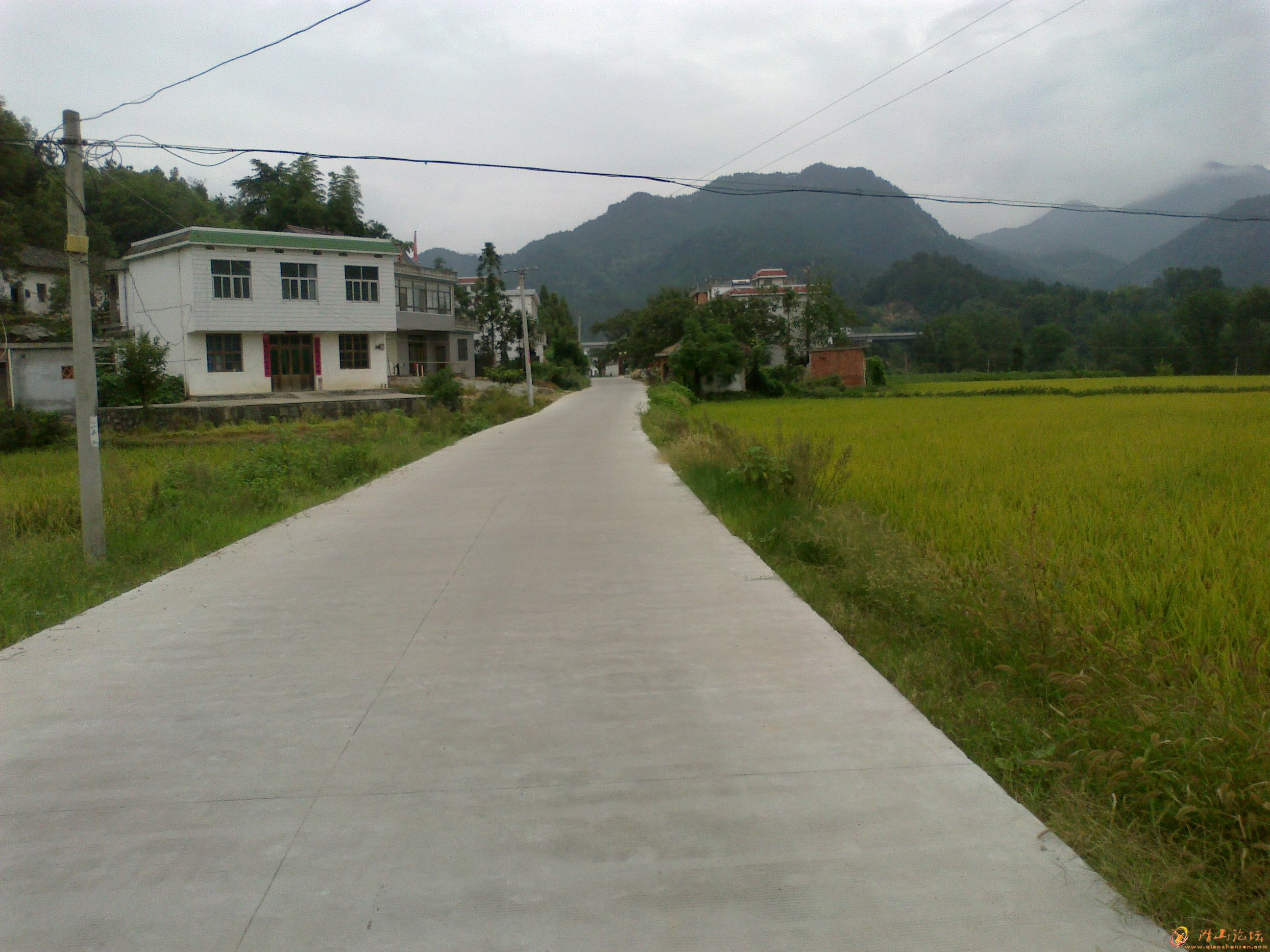 20110909021.jpg