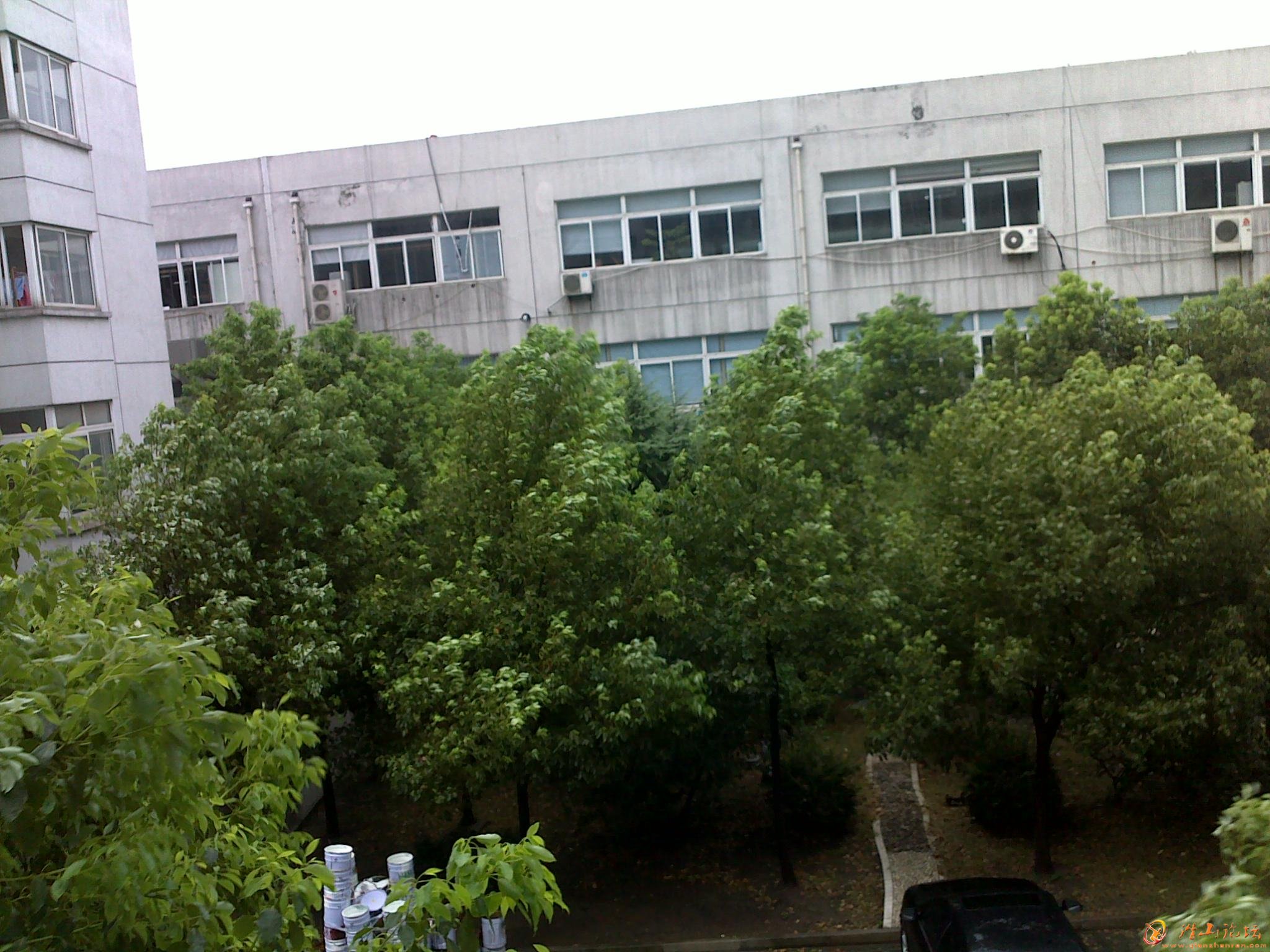 20120808351.jpg