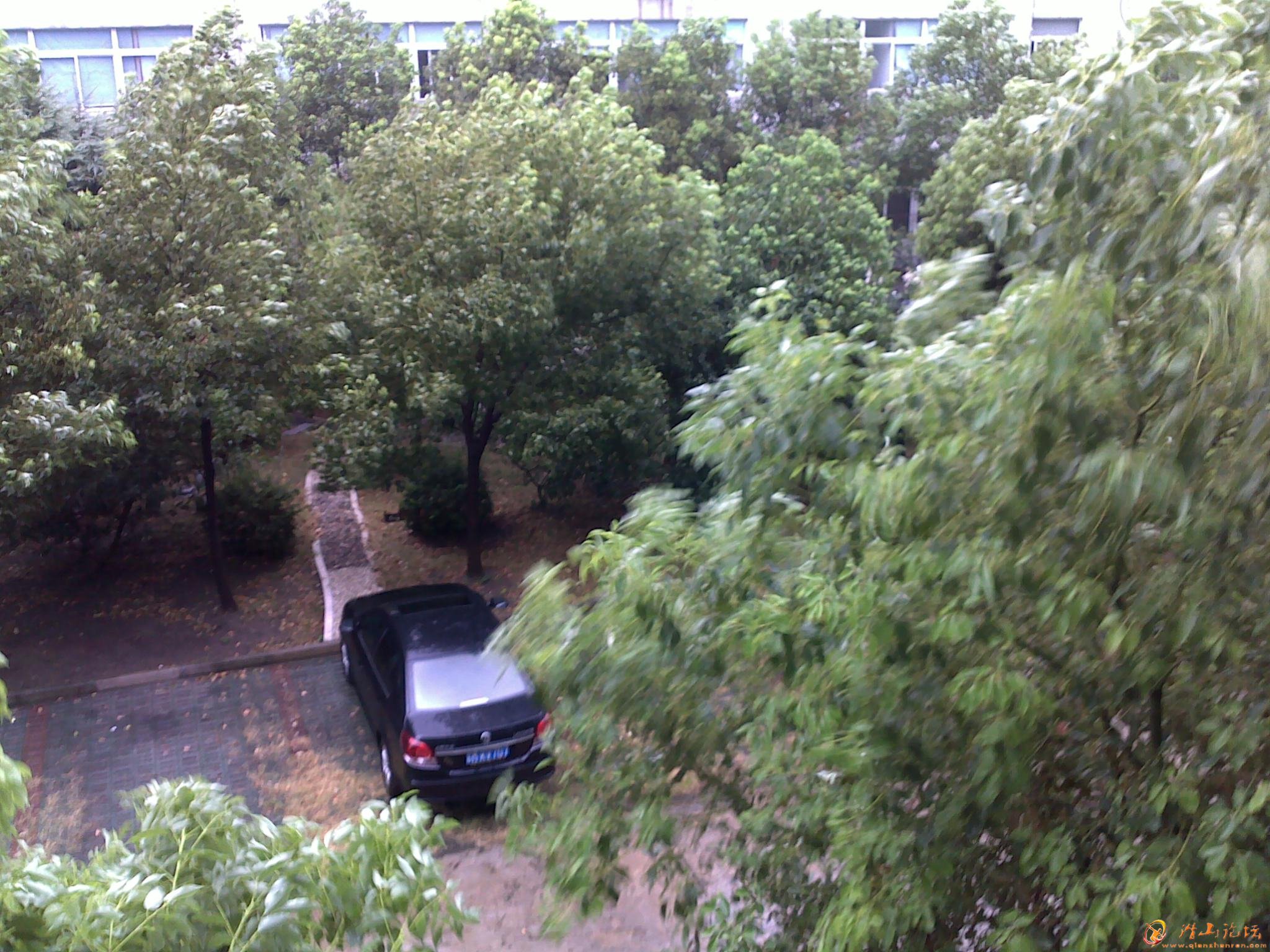 20120808352.jpg